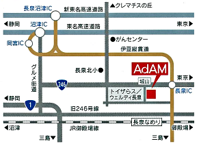 動物先端医療センター・AdAM（アダム）のご案内